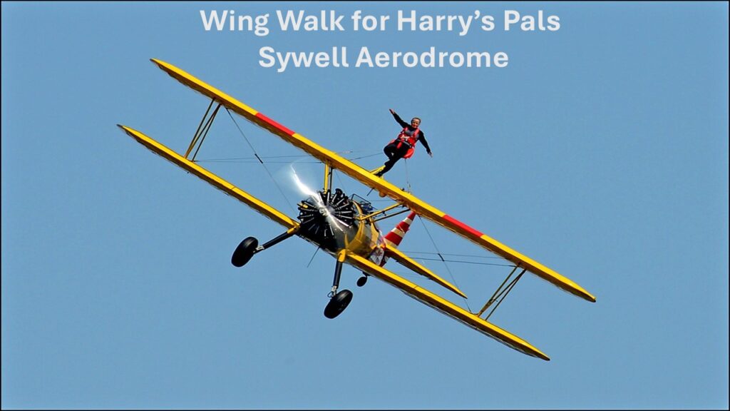 The Harry's Pals Wing Walk on 21 June 2026