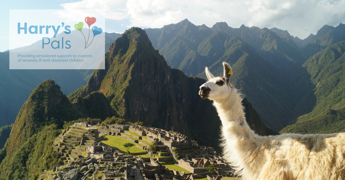 PiGs' Machu PiGchu charity trek for Harry's Pals